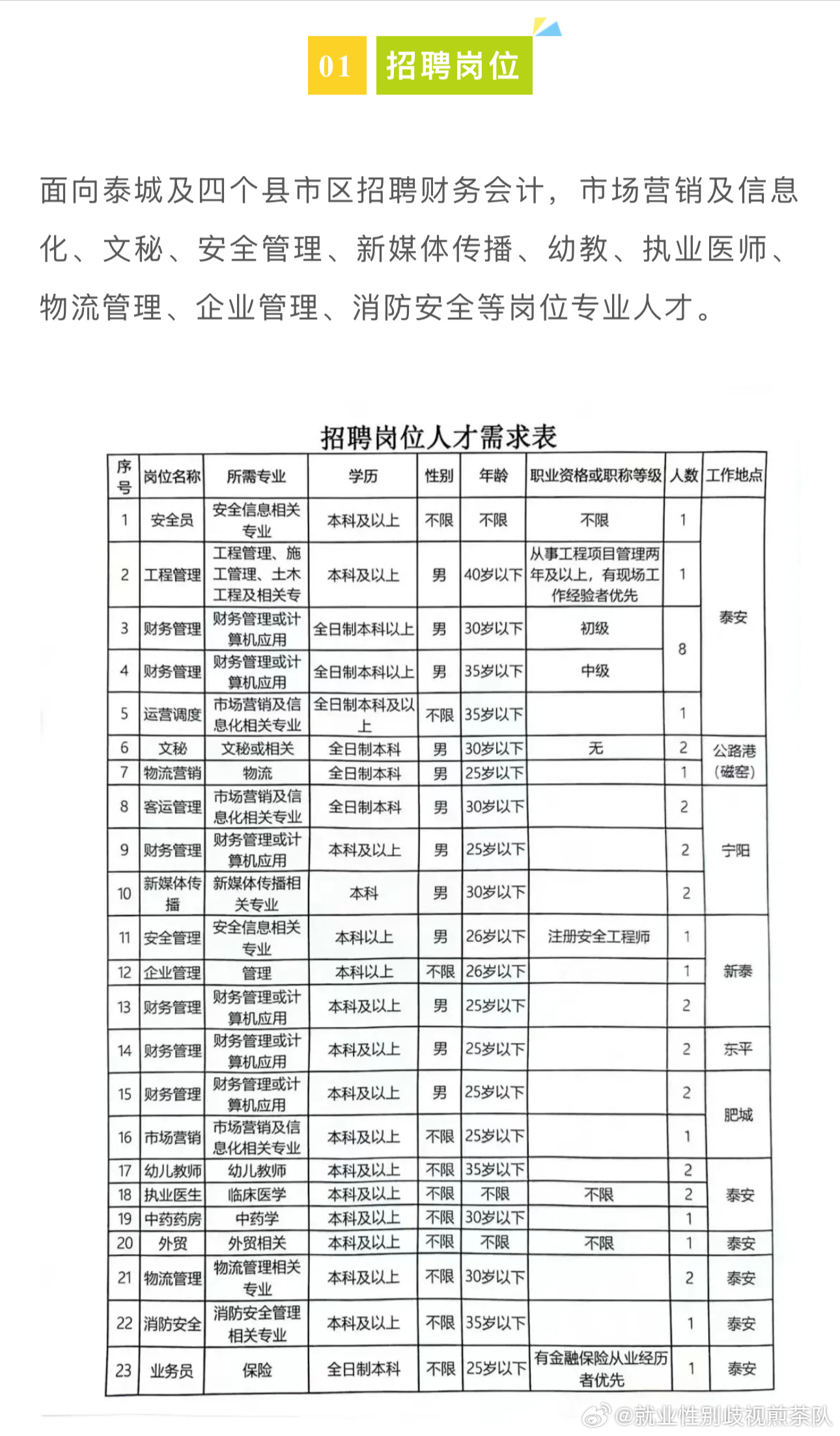 蕉城区人民政府办公室最新招聘概览，职位、要求与机会全解析