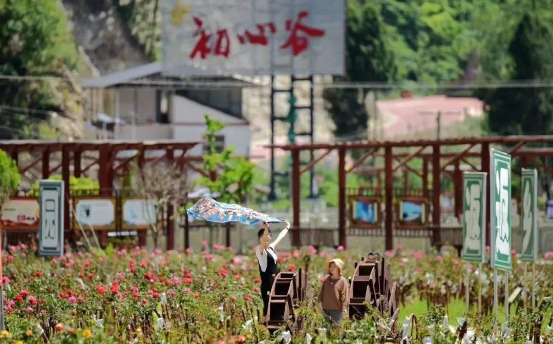 广元市图书馆新项目，文化事业发展的强大推动力