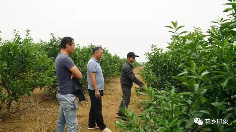 平马镇未来繁荣蓝图，最新发展规划揭秘