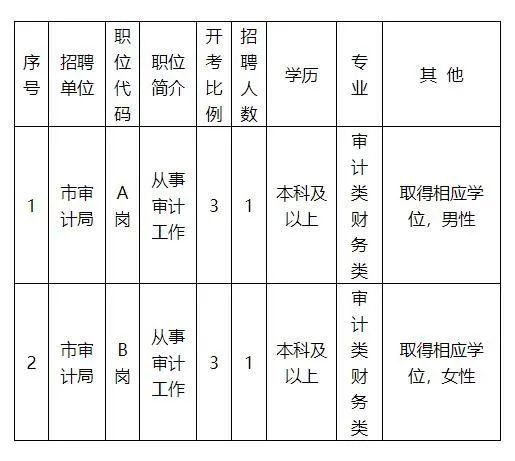 坊子区审计局招聘信息发布及招聘细节深度解析