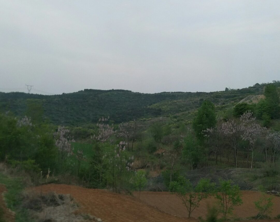 山西省晋城市沁水县郑庄乡天气预报更新通知