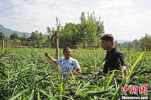 建始县科技局推动科技与创新协同发展，助力县域经济腾飞战略规划发布