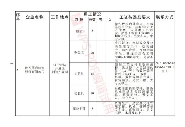 2024年12月17日 第31页