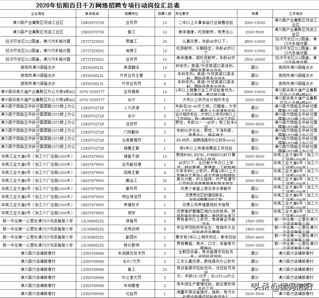 新县人民政府办公室最新招聘概览