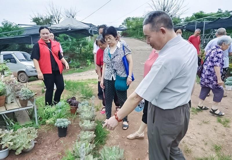 雁江区民政局新项目推动社会福祉提升，助力民生改善大计