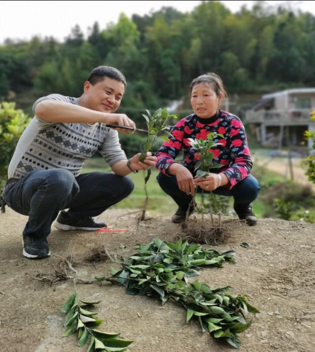 衡阳市扶贫开发领导小组办公室新项目引领贫困地区走向崭新篇章