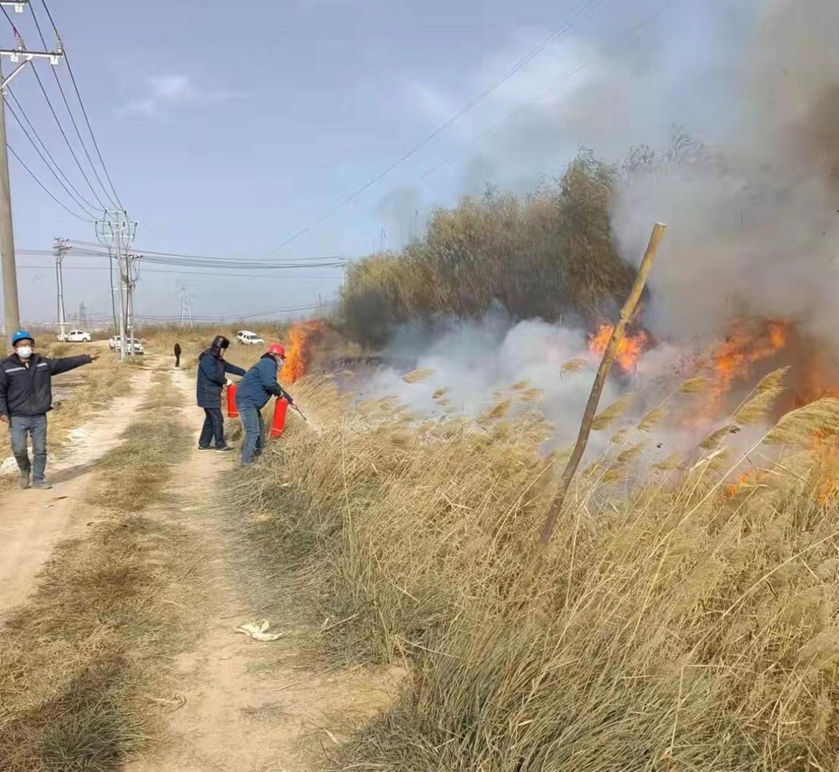 中宁县级公路维护监理事业单位招聘启事概览