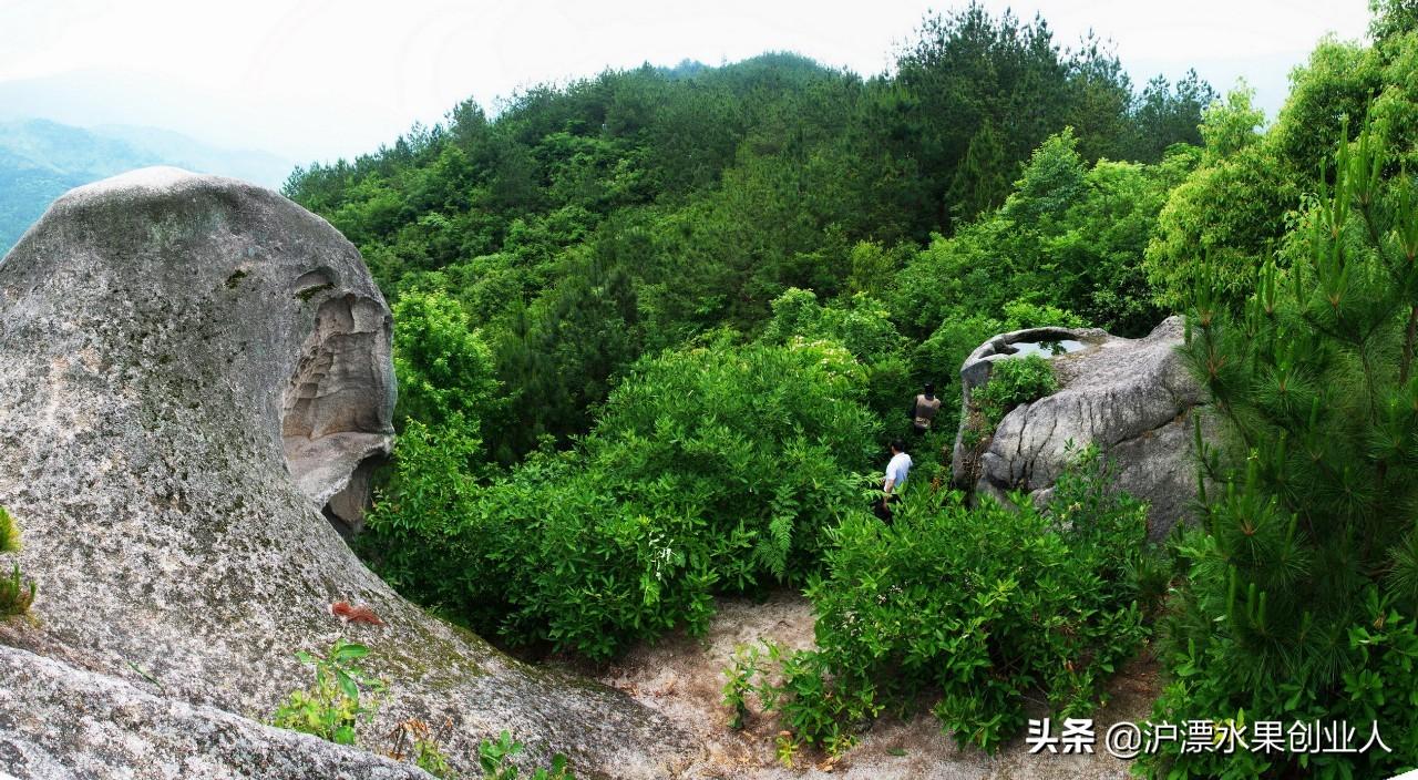 太湖县文化局领导团队全新亮相，未来工作展望与战略规划