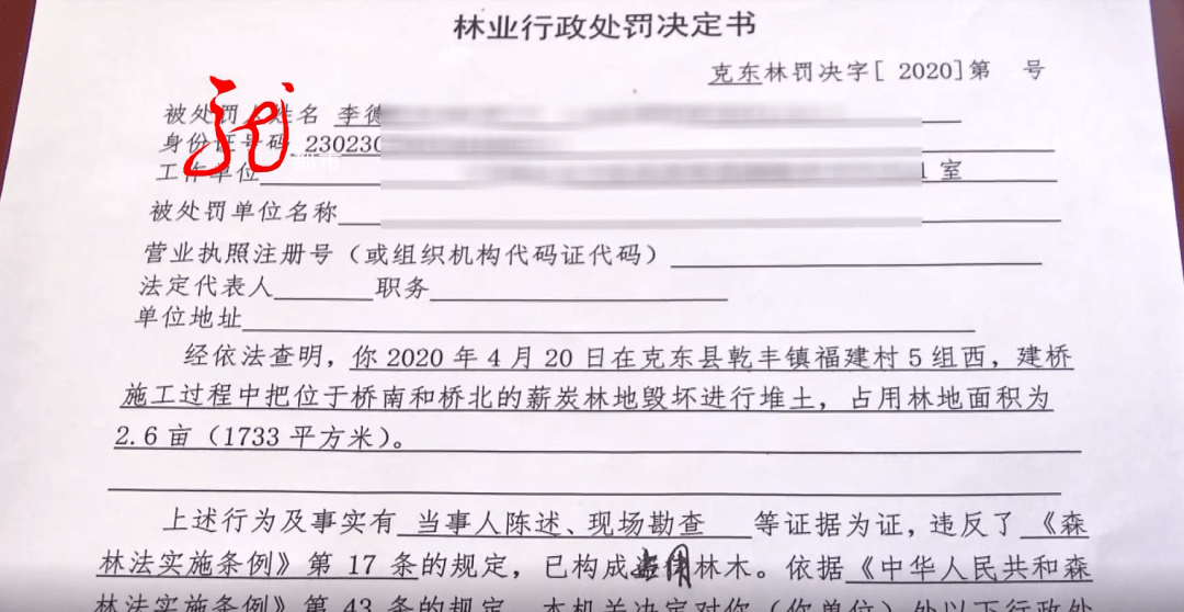 泾桥村委会人事大调整，重塑领导团队，驱动乡村振兴新篇章