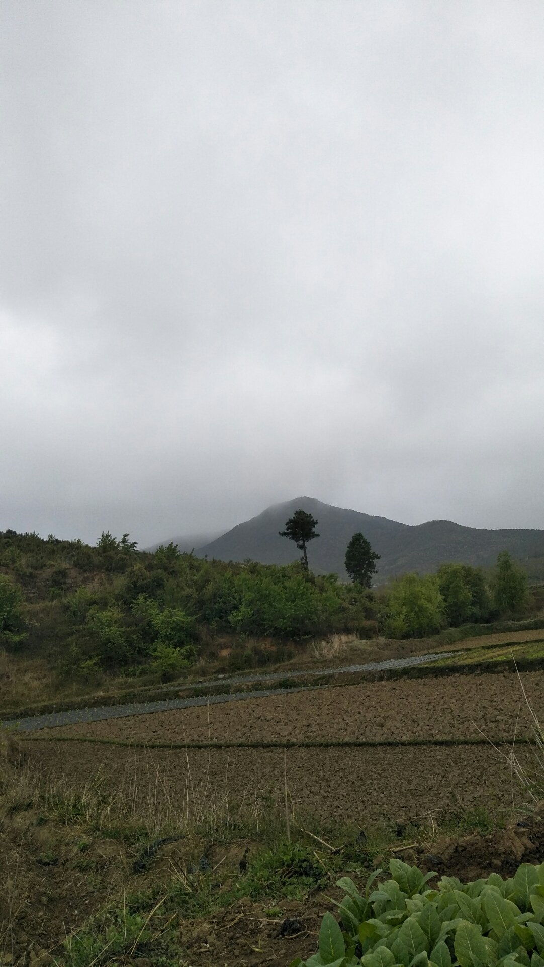 治平乡天气预报更新通知