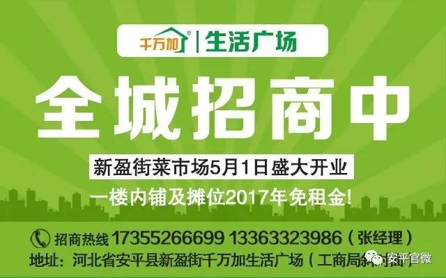 东港市人力资源和社会保障局最新招聘全面解析