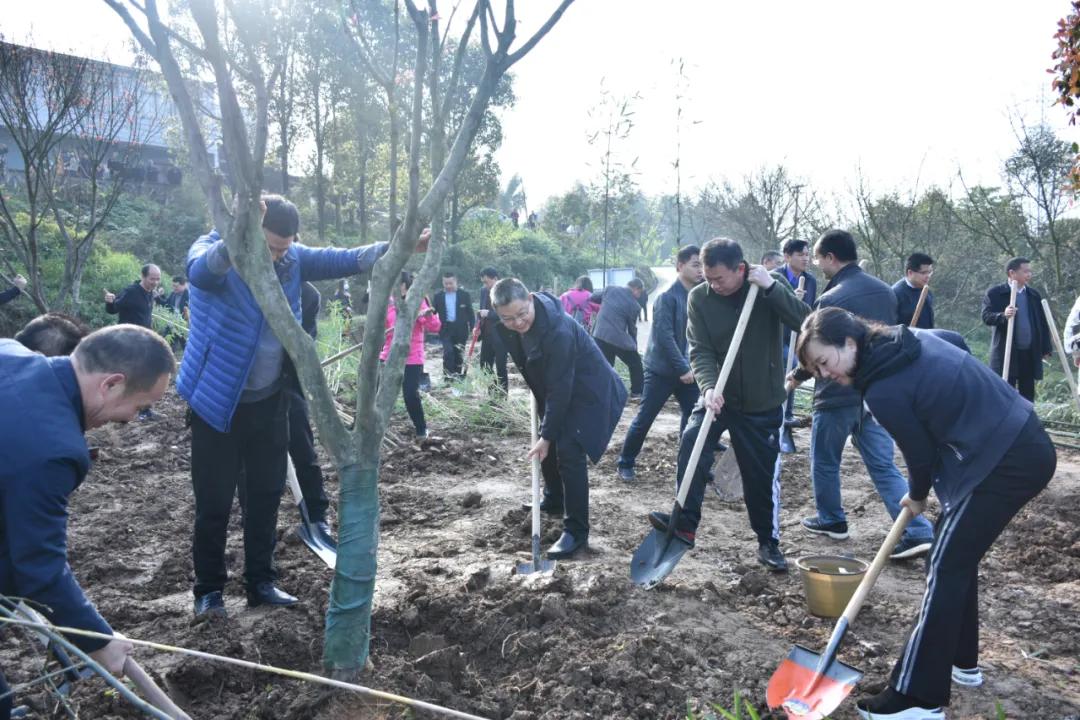 柏溪乡领导团队，引领乡村发展的核心力量新篇章