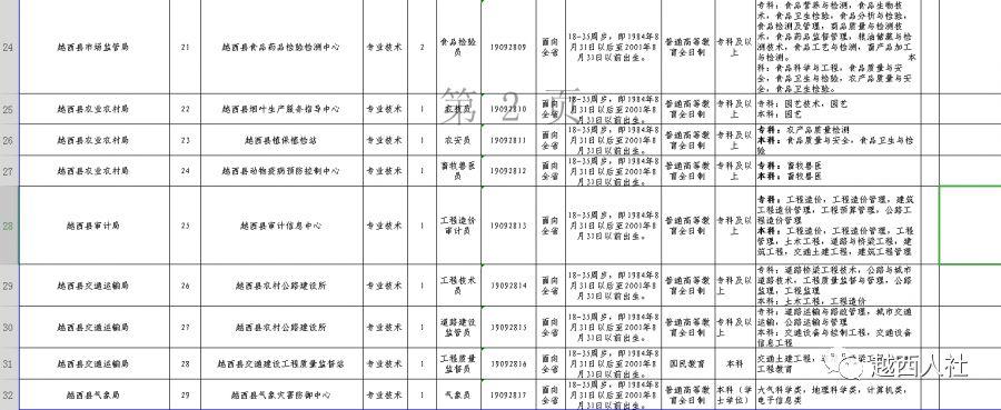 越西县人民政府办公室最新招聘公告解读