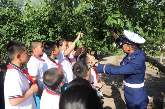 科尔沁右翼中旗小学最新动态报道