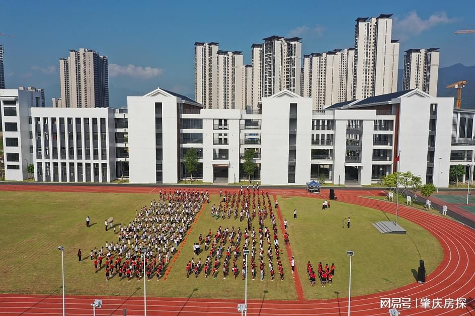 鼎湖区小学最新动态报道