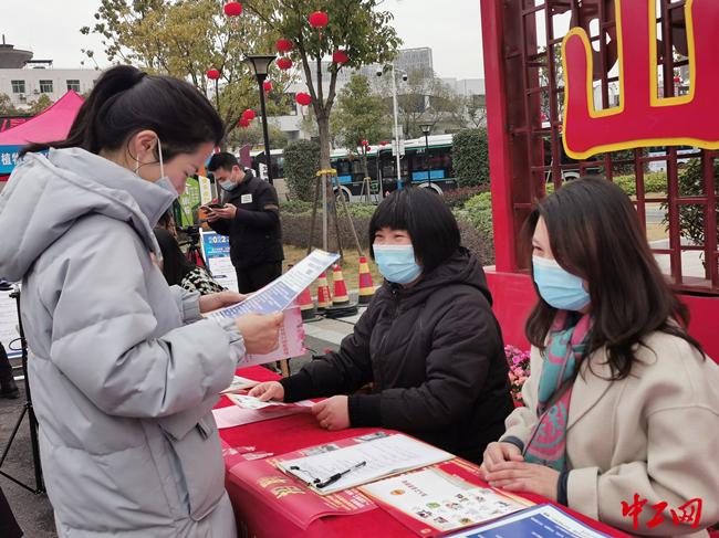 青原区人民政府办公室最新招聘公告解读