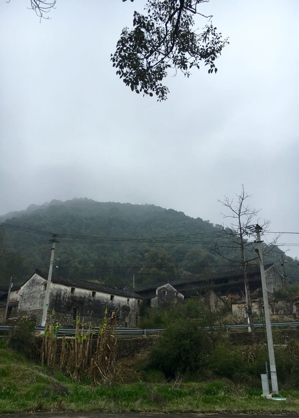 韩湾村民委员会天气预报更新通知