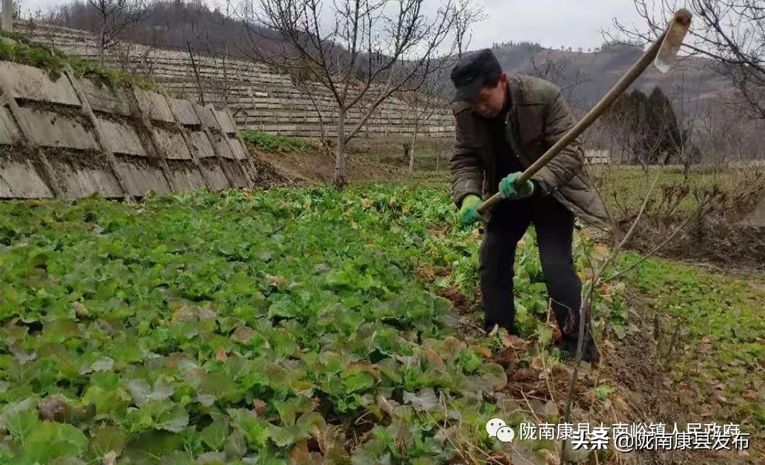 康县科学技术和工业信息化局最新项目进展深度解读报告