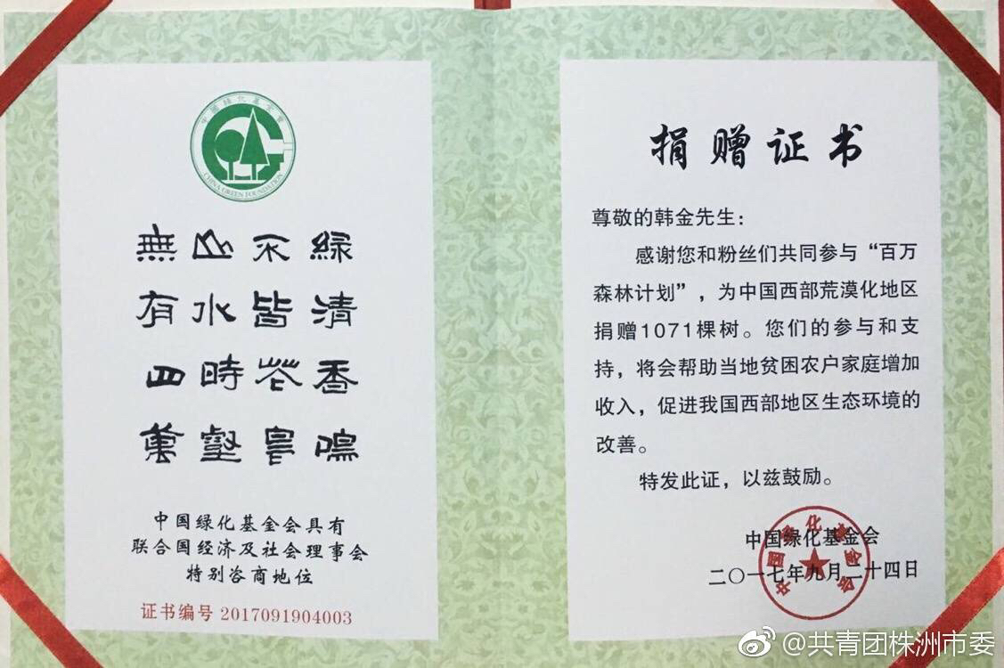 株洲市共青团市委最新招聘启事概览